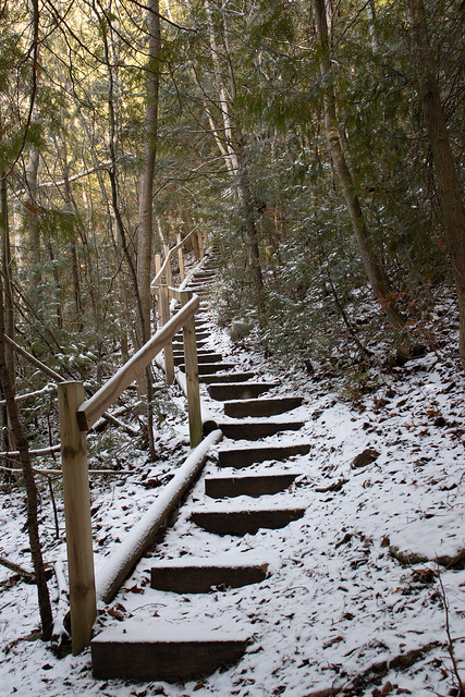Stairs on the Bighead Trail