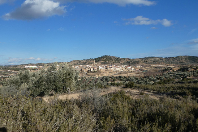 La Codonyera, Bajo Aragon