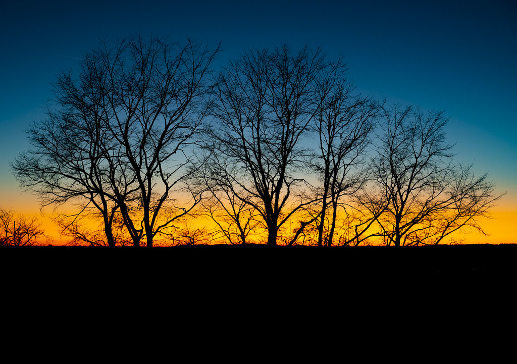 Degradat cromatic hivernal / Winter sunset shades