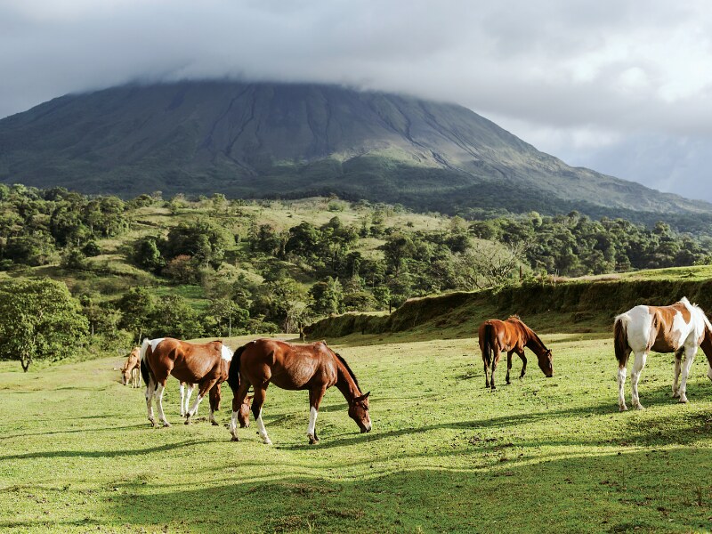 best Arenal volcano tours - Horseback Riding
