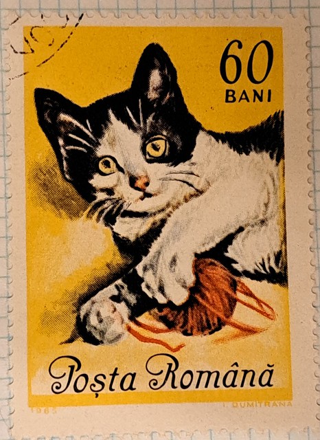 Romania 60 Bani - Cat