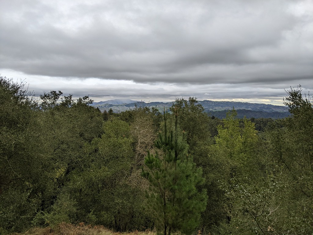 Serpentine Prairie Trail, near We Run Oakland: For Our Children 2027