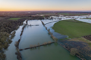 River Thames in flood
