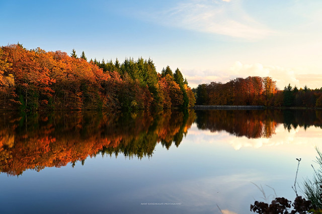 Reflets des arbres sur l'eau en automne