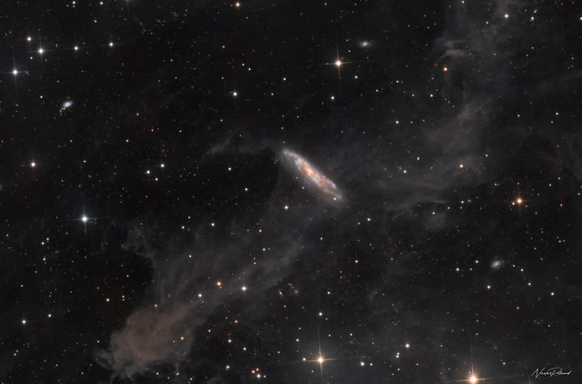 NGC 7497 - A Galaxy in the Dust