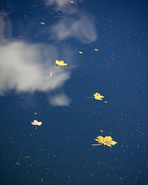 Autumn's Waters (5)