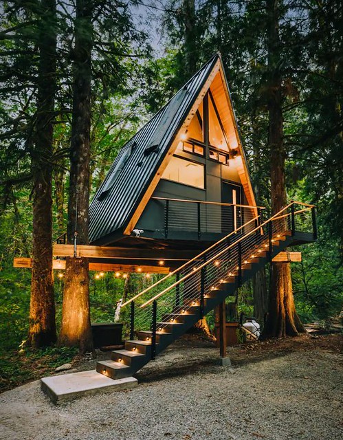 Airbnb Find_ Tree Frame Cabin
