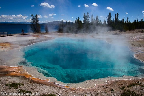 Black Pool from the side, West Thumb parking area, West Thumb Geyser Basin, Yellowstone National Park, Wyoming