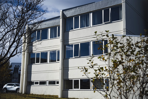 Ørkin 3