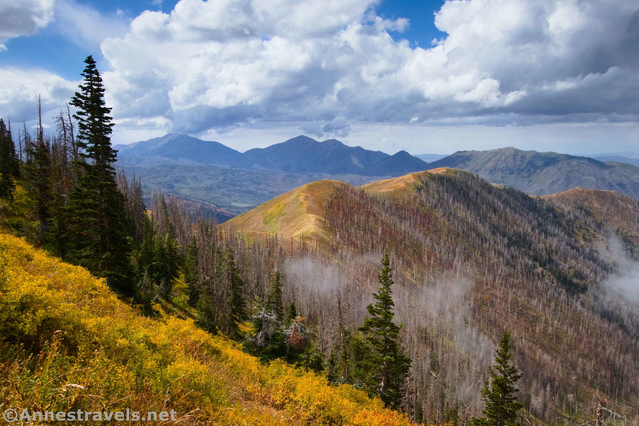 Views along the Loafer Mountain Trail en route to Santaquin Peak, Uinta-Wasatch-Cache National Forest, Utah