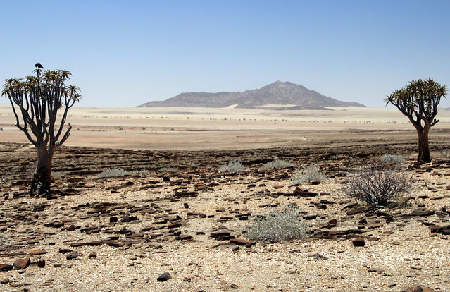 Arid Namibia