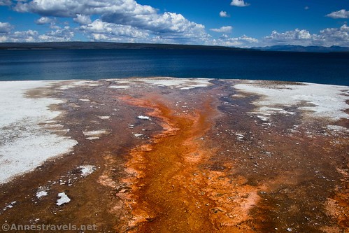 Colorful geothermal water draining into Yellowstone Lake, West Thumb Geyser Basin, Yellowstone National Park, Wyoming