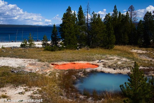 The West Thumb Paint Pots, West Thumb Geyser Basin, Yellowstone National Park, Wyoming