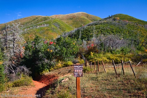 The Bennie Creek Trail Junction on the Loafer Mountain Mountain, Uinta-Wasatch-Cache National Forest, Utah