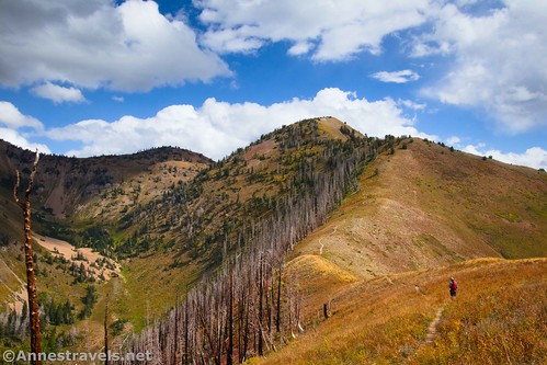 The trail ahead up Santaquin Peak, Uinta-Wasatch-Cache National Forest, Utah