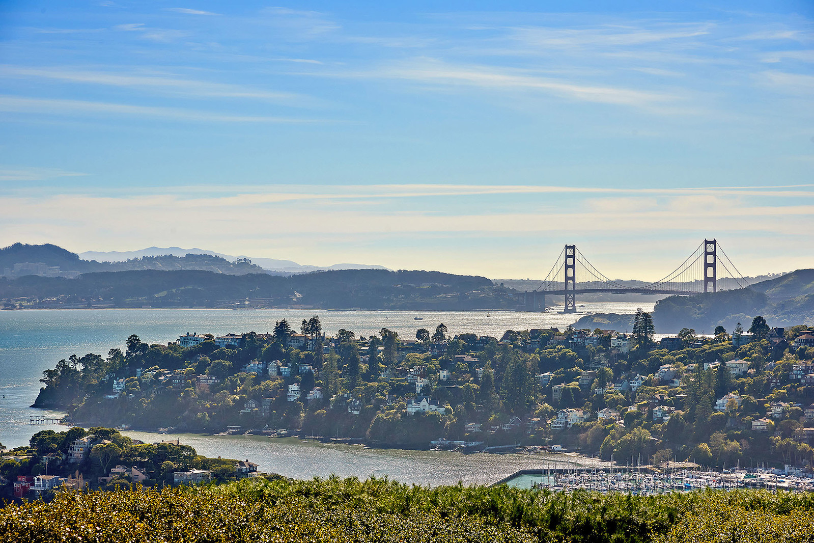 Cover Image for 83 Mount Tiburon Road presented by Kara Warrin