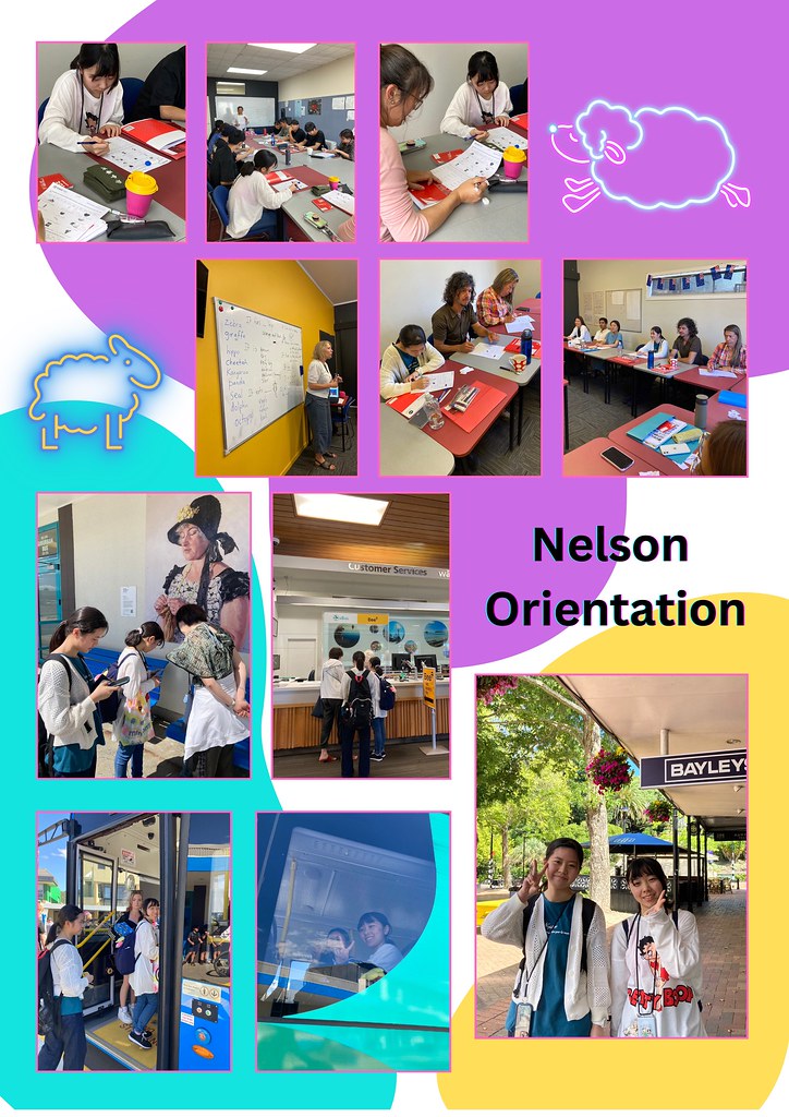 Nelson Orientation