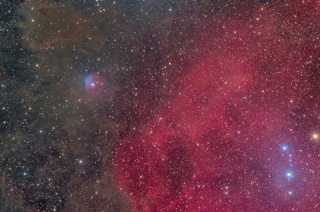 Angel fish nebula and sh2-263