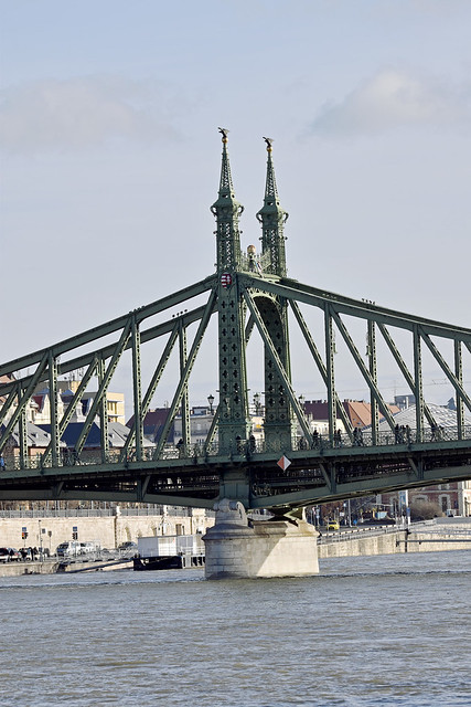 2024.01.01.039 BUDAPEST - Le Danube et  Szabadság híd (Pont de la Liberté)