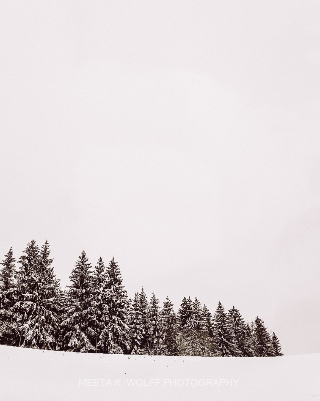 Winter_Landscape_ Weimar-MeetaKWolff