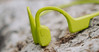 foto: Suunto