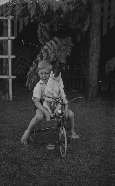 Trixie the dog sitting in front of a young boy on a tricycle