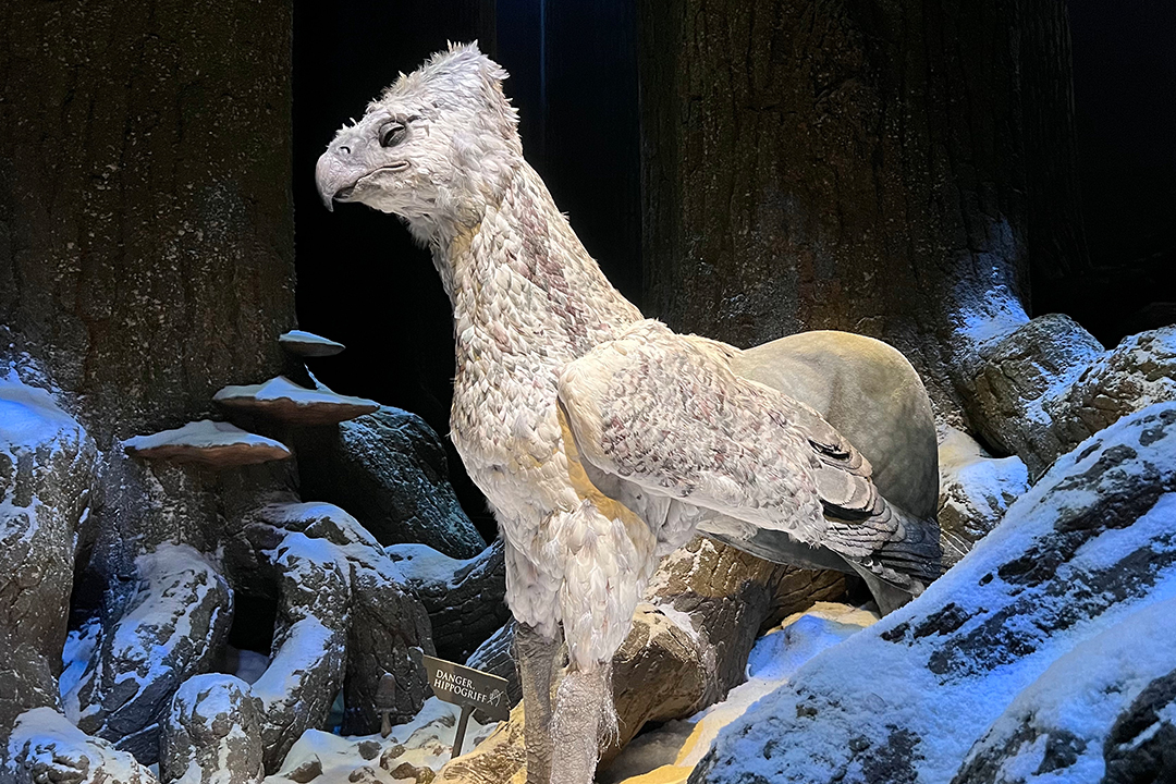 harrypotter_hippogriff