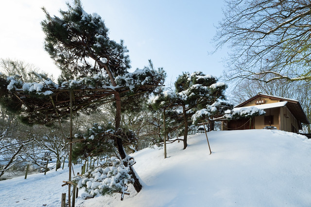 Sneeuwvacht over Japanse Tuin 2