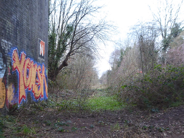 P2020718    Rail trackbed below railway, Levenshulme, Manchester    (former Fallowfield Loop Line)    January 2024