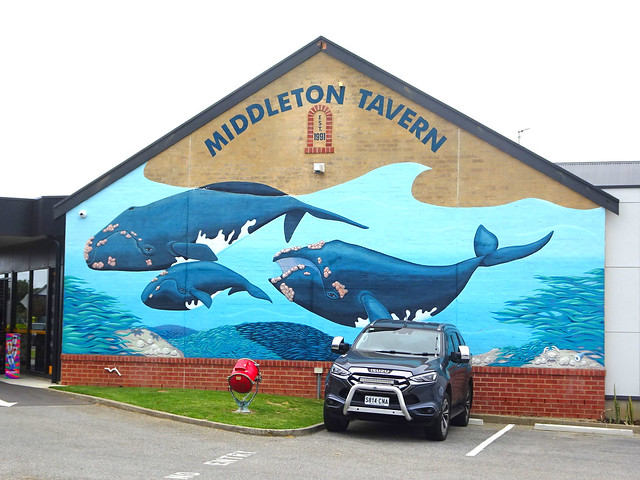 Middleton Tavern on the Fleurieu Peninsula. Mural of Southern Right whales which pass by Middleton between July and October each year.
