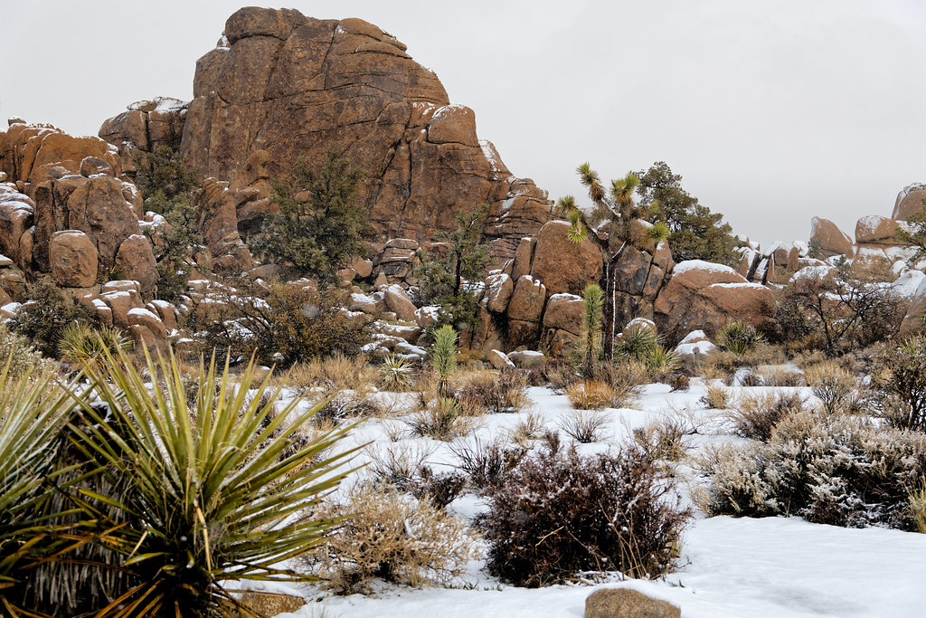 Rock Formations on a Snowy Day (Joshua Tree National Park)