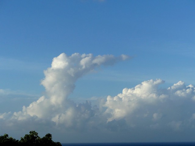 Nuage oiseau - Cloud bird