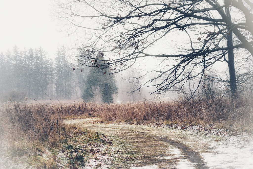 winter walks ❄️💙