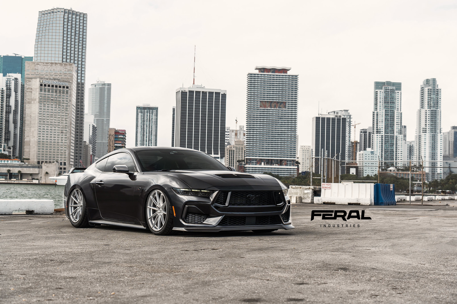 Feral Industries - Mustang S650 Carbon Fiber Front Spoiler