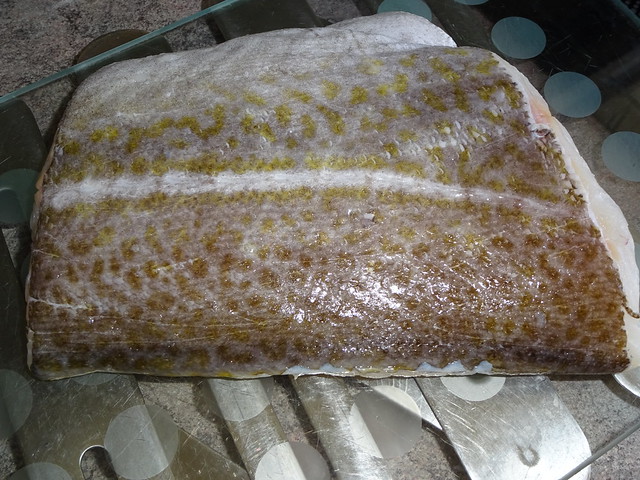 Atlantic cod / Skrei (Winterkabeljau bzw Kabeljau bzw Dorsch) /  Gadus morhua