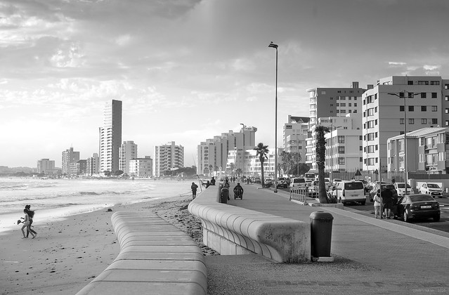 Seaside Urban Utopia