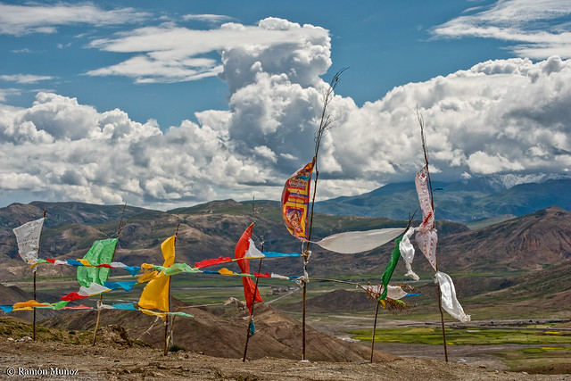 DSC4859 Banderas de oración en el puerto de carretera Yulong La, 4.950 m., Tibet