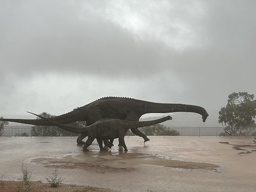 Sauropods Caught In Rain