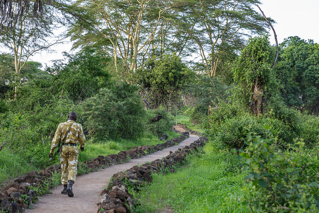 Mzima Springs, Kenya