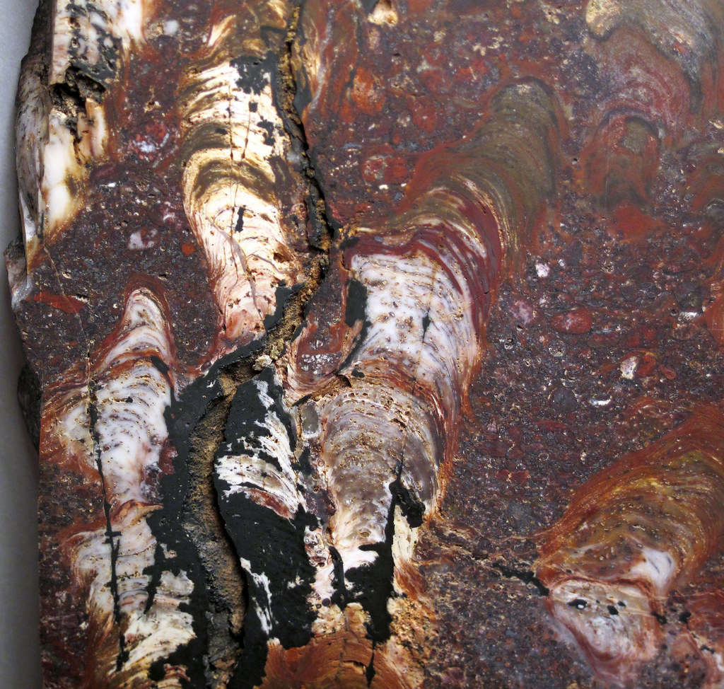 Silicified stromatolite boundstone with oolites & sinuous … | Flickr