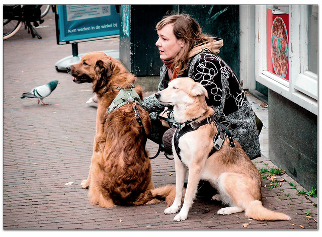 Dog_owner_with_her_two_comrades
