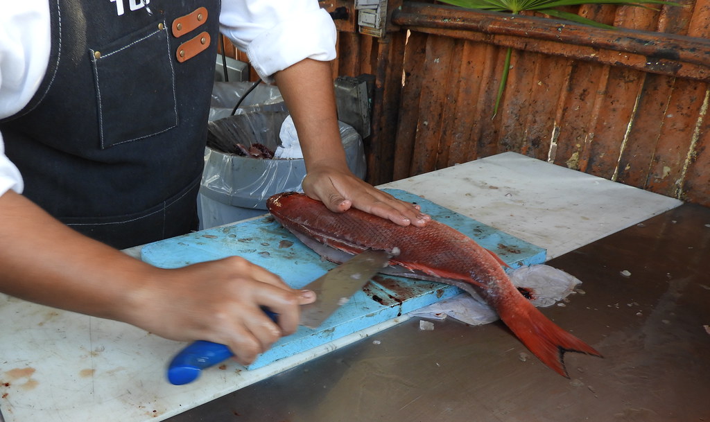 Snapper Flickr The really fresh Red Snapper we picked for our Pescado Zar… | Flickr