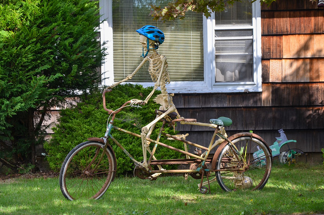 Bicycle Built For Two Skeletons