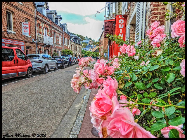 Village street in Veules-les-Roses, Normandy, France