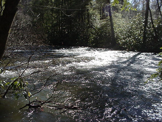Abrams Creek 3