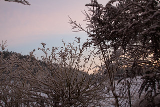Winter in Herschfeld am 21.1.2024