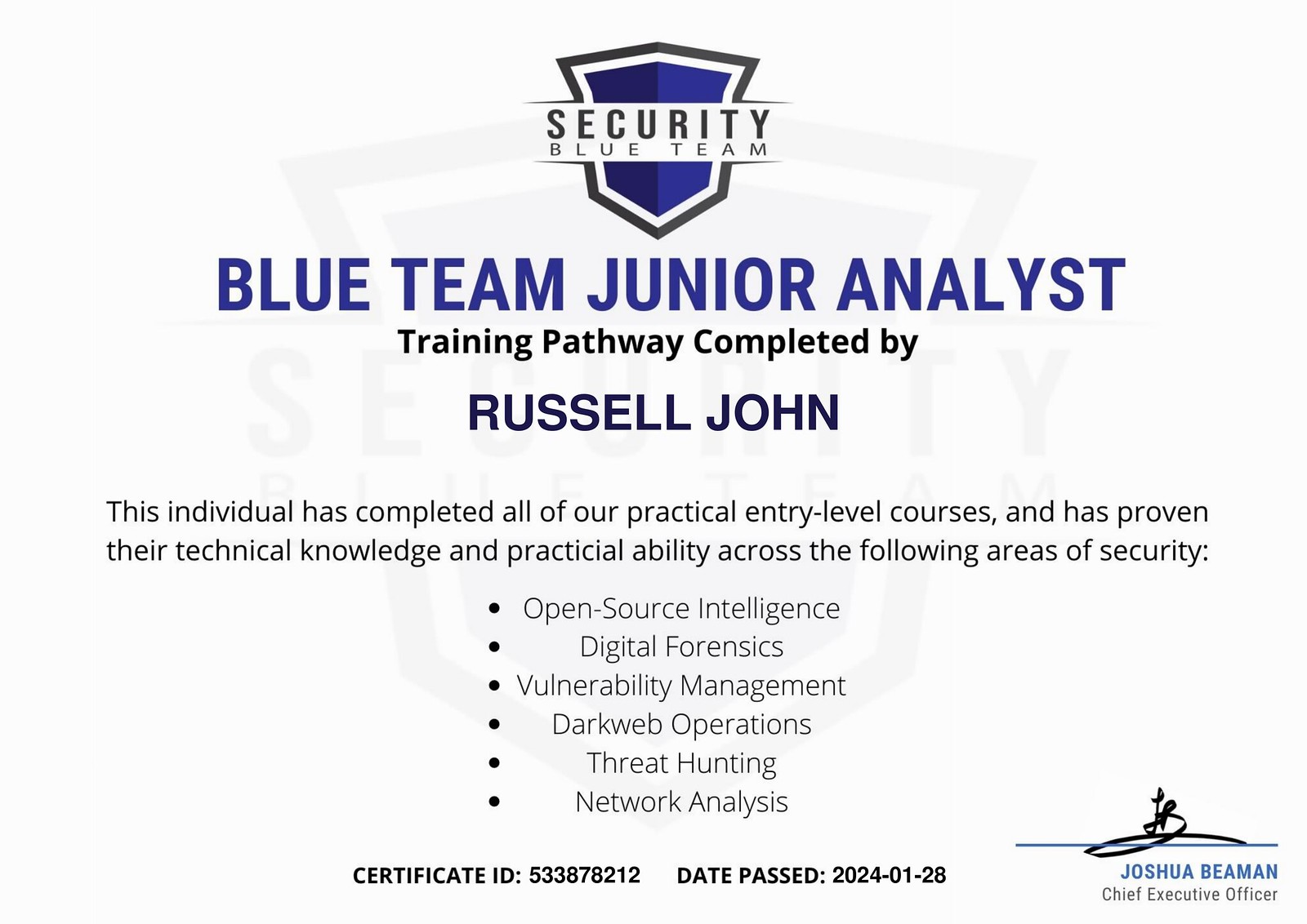 Blue Team Junior Analyst
