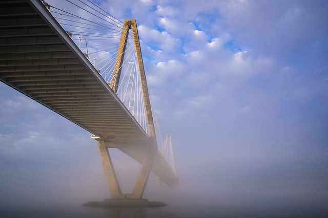 A Foggy Morning in Charleston 2024-35