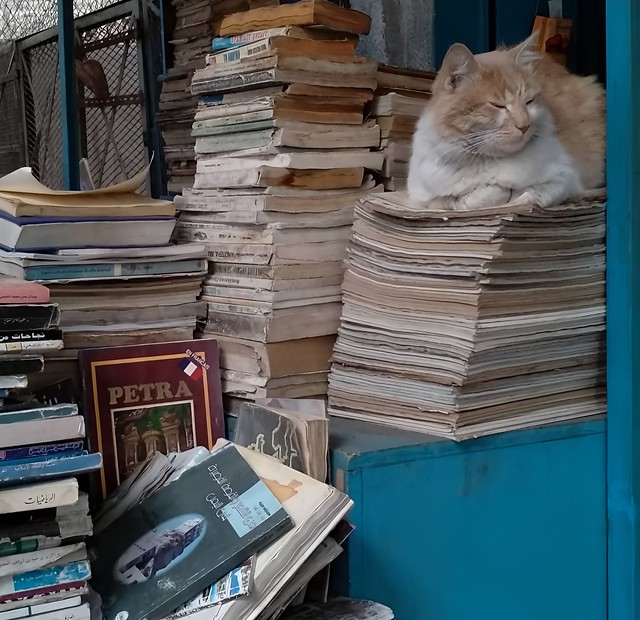 Guardian of Books, Amman - Jordan