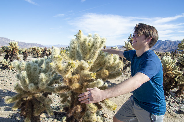 Hugging a Cholla Cactus